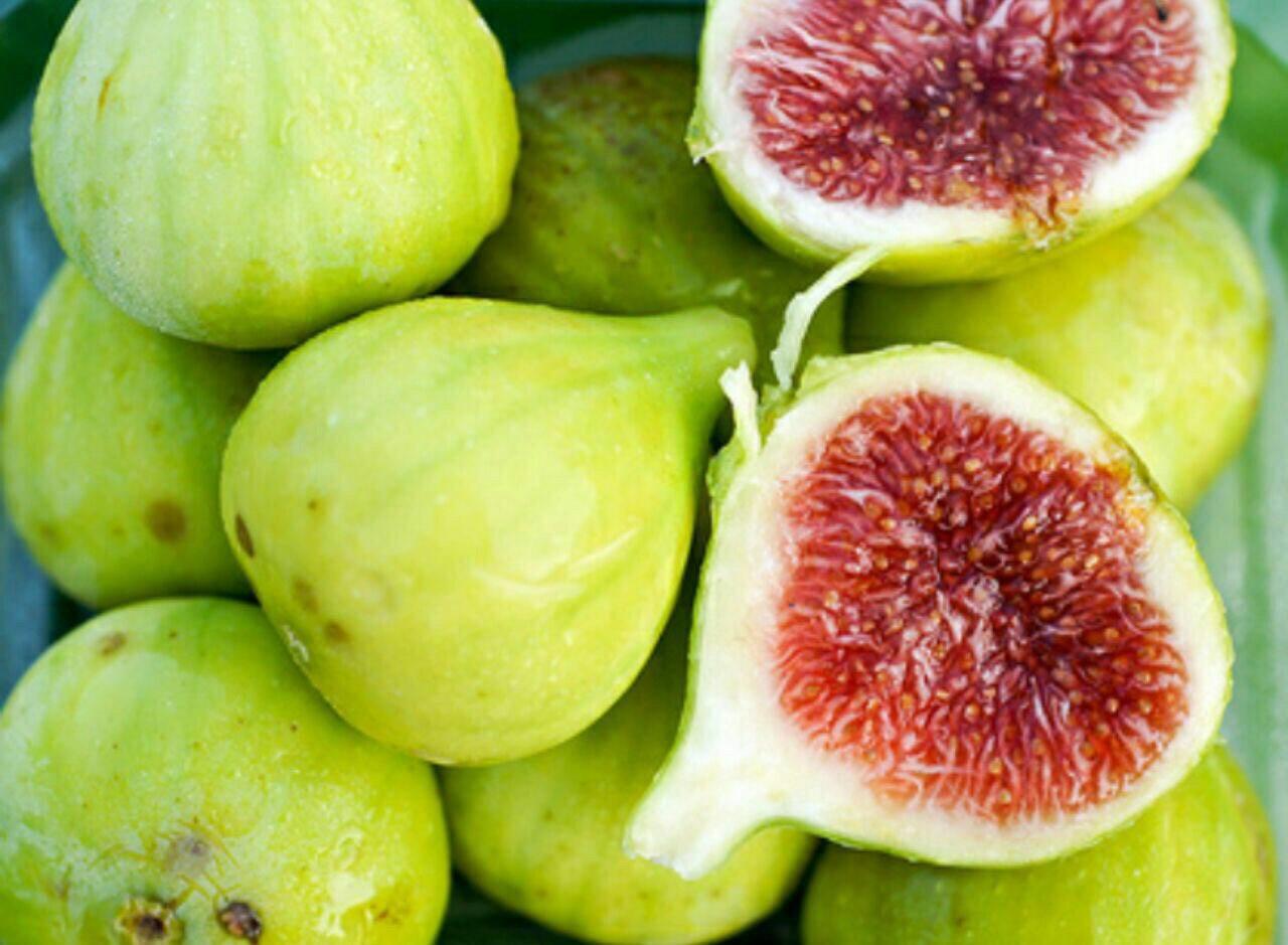 تعبیر خواب درخت انجیر