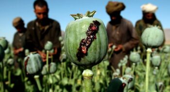 تعبیر خواب تریاک