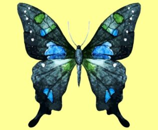 تعبیر خواب پروانه