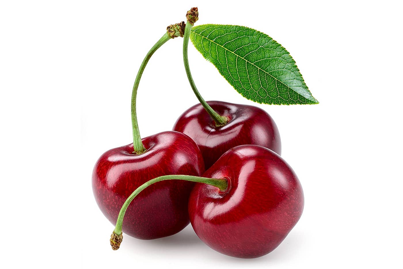 تعبیر خواب آلبالو