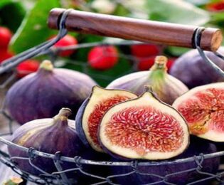 تعبیر خواب درخت انجیر
