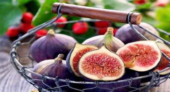 تعبیر خواب درخت انجیر