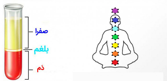 دمنوش ضد بلغم