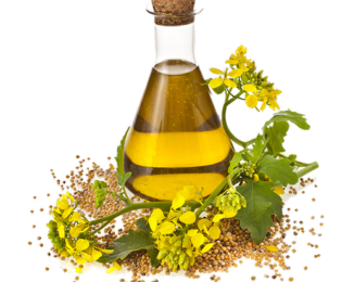 دمنوش نیوشا برای مزاج بلغمی