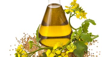 دمنوش نیوشا برای مزاج بلغمی